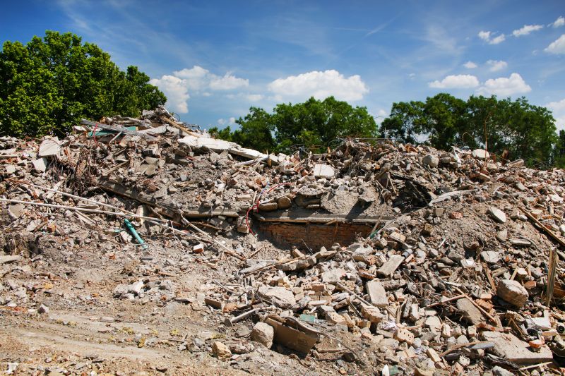 House Removal in Houston, TX